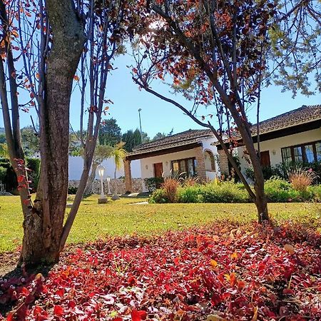 Tottam Art & Healthy Garden Villa Malaga Luaran gambar