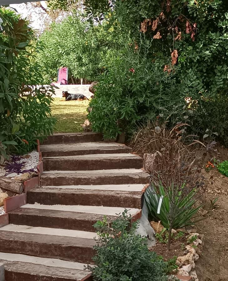 Tottam Art & Healthy Garden Villa Malaga Luaran gambar