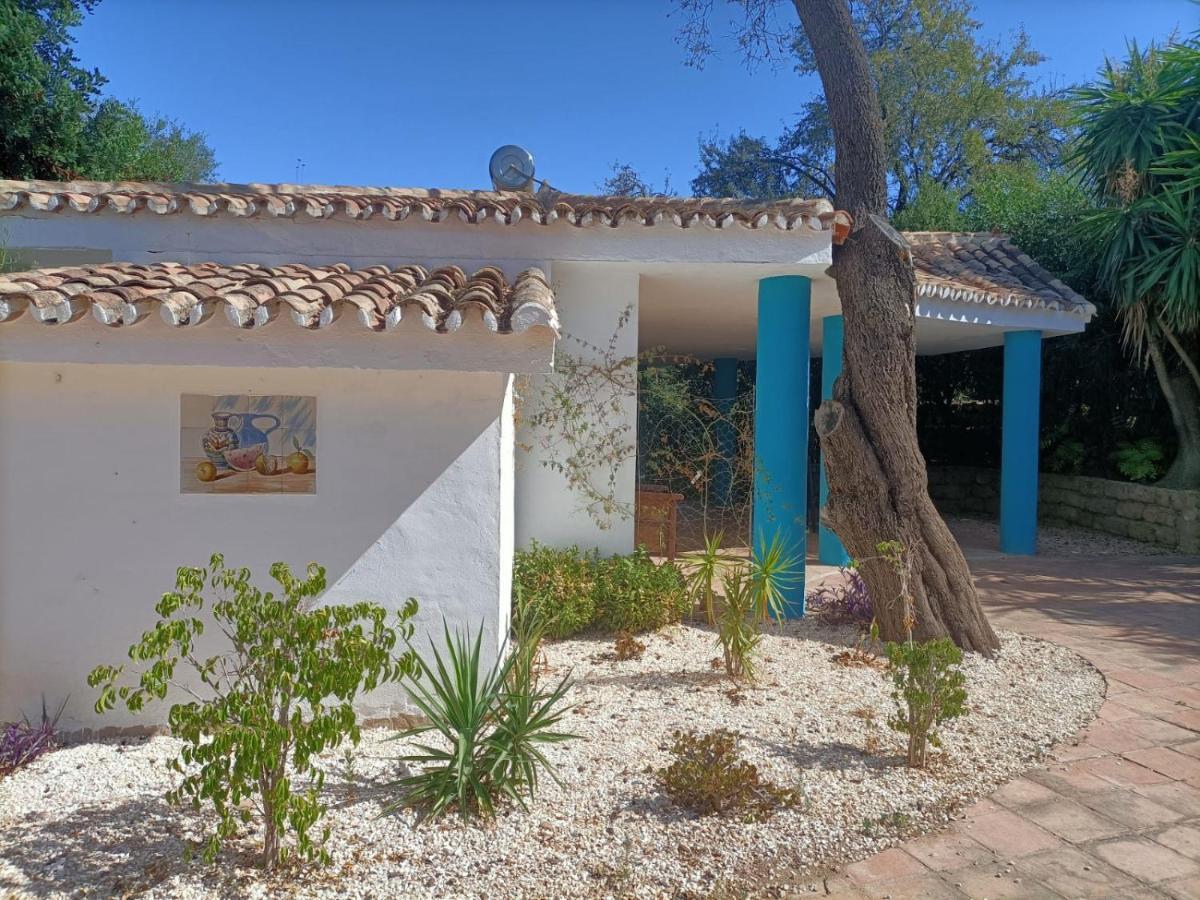 Tottam Art & Healthy Garden Villa Malaga Luaran gambar