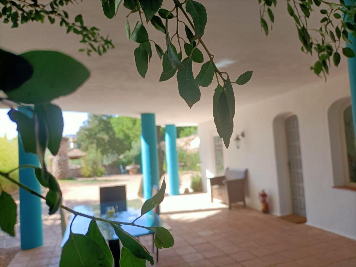Tottam Art & Healthy Garden Villa Malaga Luaran gambar