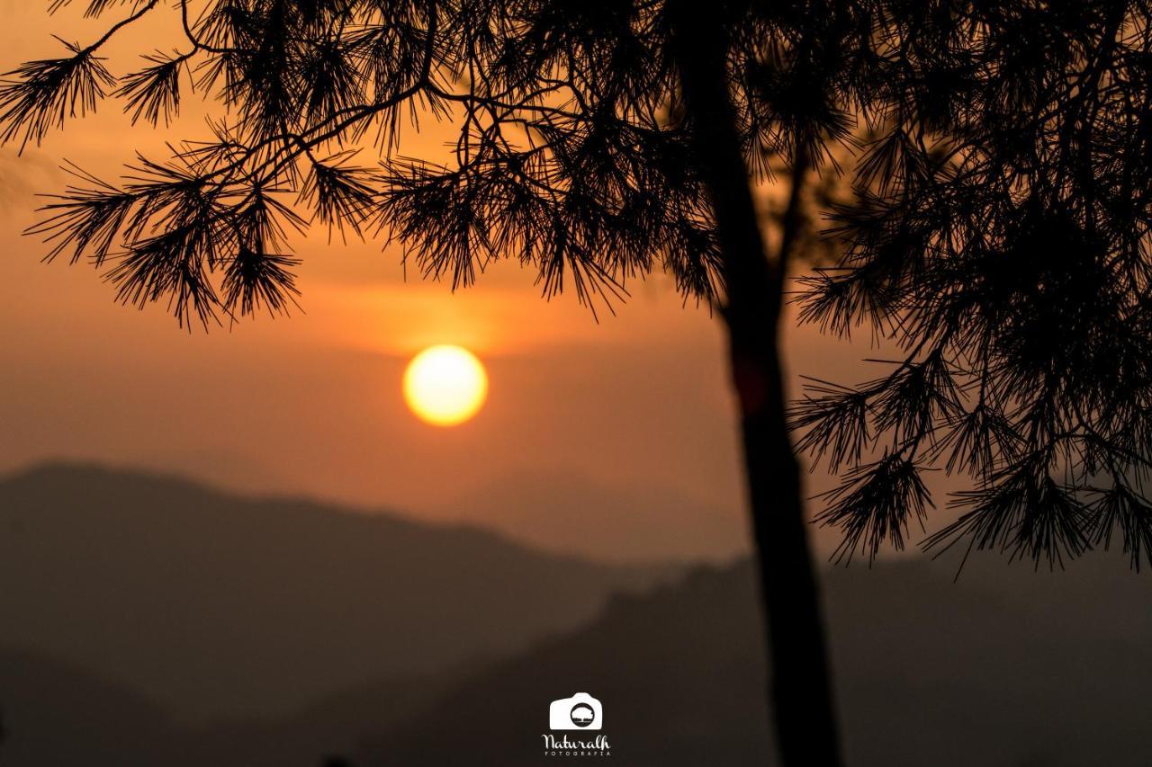 Tottam Art & Healthy Garden Villa Malaga Luaran gambar